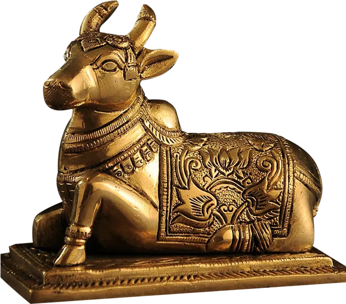 cow