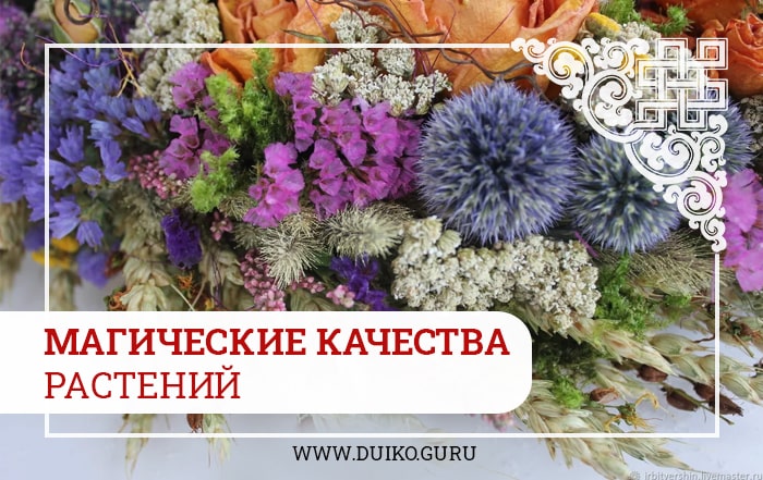 магические качества трав, обряды, обрядова магия, травы для обрядов, эзотерика и магия, эзотерика кайлас, Андрей Дуйко